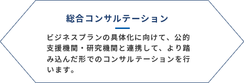 総合コンサルテーション ビジネスプランの具体化に向けて、公的支援機関・研究機関と連携して、より踏み込んだ形でのコンサルテーションを行います。